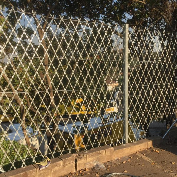 WhatsApp Image 2024-08-11 at 18.48.06 (2)