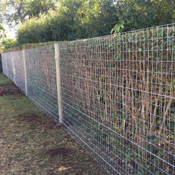 WhatsApp Image 2024-08-11 at 18.48.07 (1)