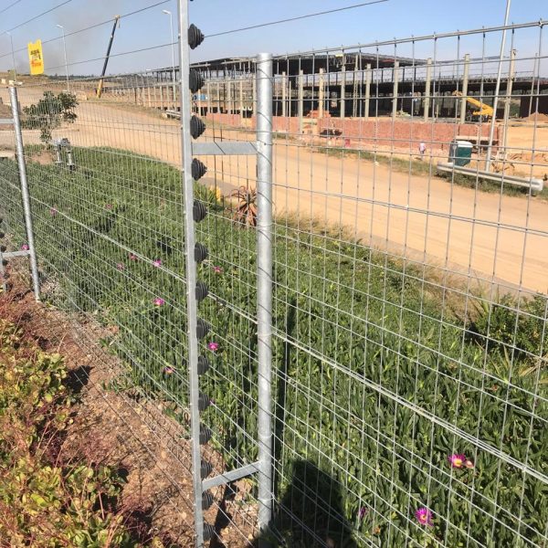 WhatsApp Image 2024-08-11 at 18.48.07 (6)