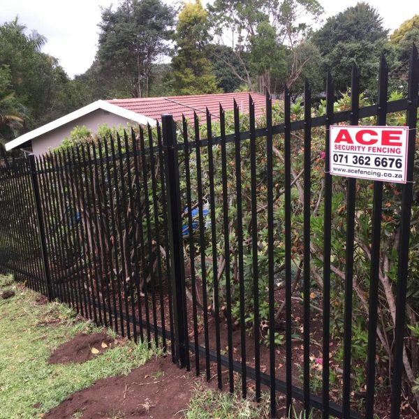 WhatsApp Image 2024-08-11 at 18.52.32 (3)