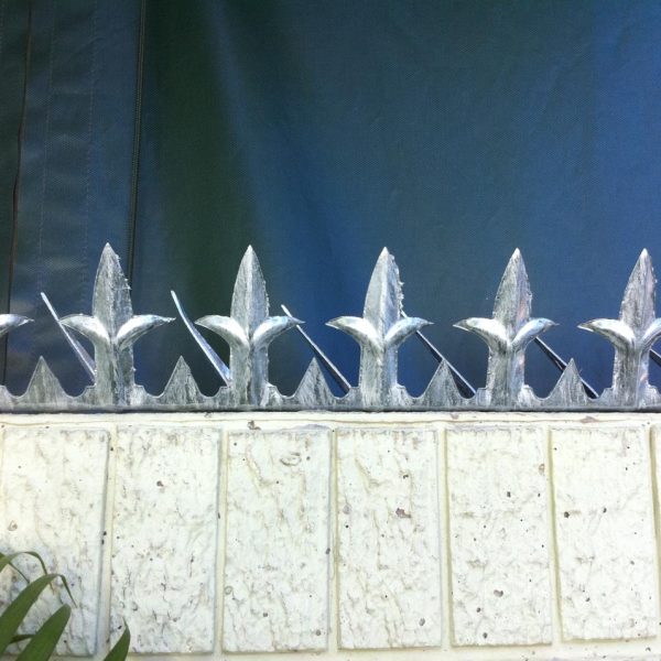 WhatsApp Image 2024-08-11 at 19.07.13 (1)