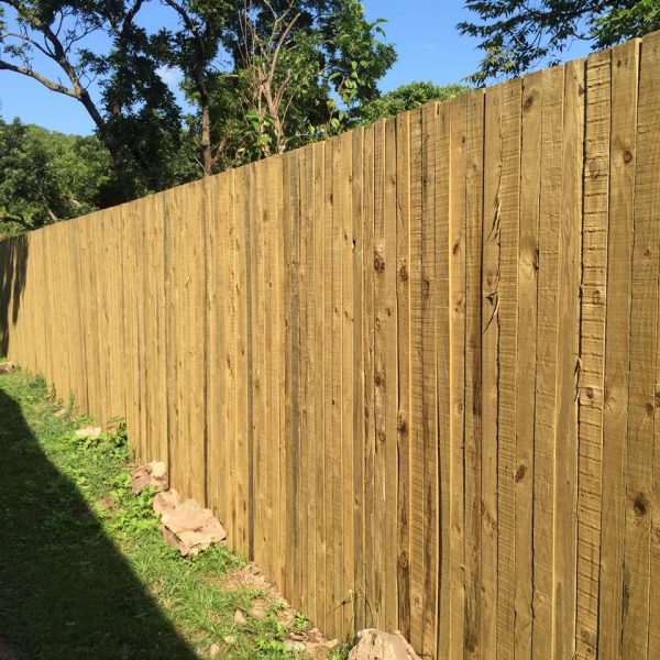 WhatsApp Image 2024-08-11 at 19.11.44